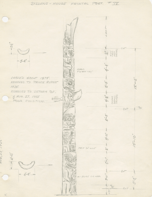 Sketch and dimensions of a Skedans house frontal pole by John Smyly.