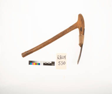 An adze from the museum collection