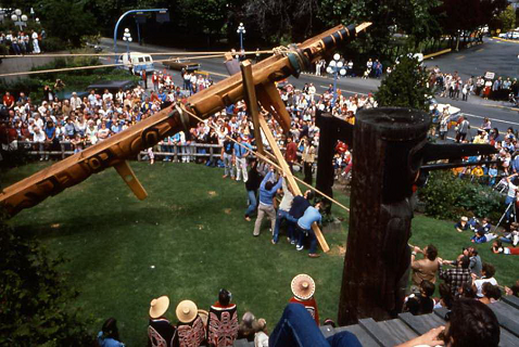 Crowd of people watching the pole being raised with beams and ropes. 