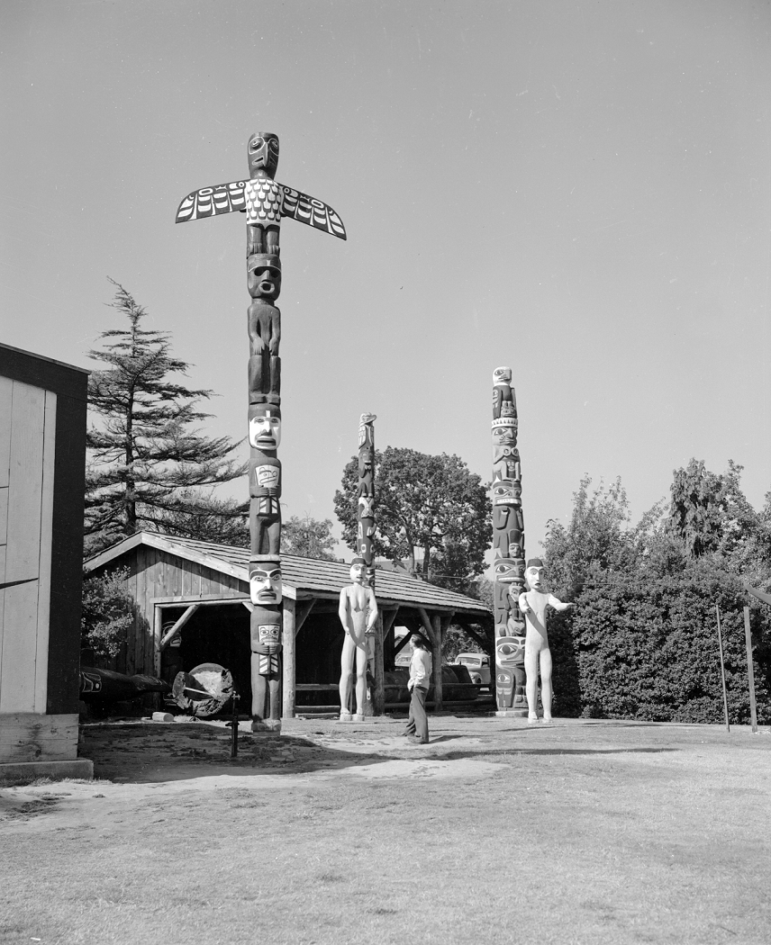 Man in Thunderbird Park viewing a pole with the carved figures and other poles in the background.