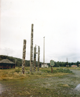 Five poles standing near a dirt road with village houses in the background. 