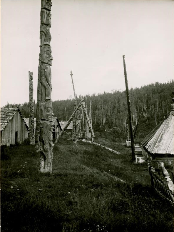 Side view of many poles standing, leaning, or falling in front of village houses.