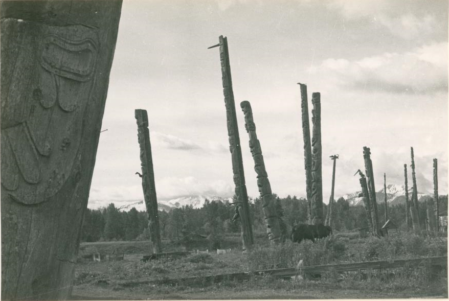 Plusieurs poteaux debout sur le site de Gitanyow.