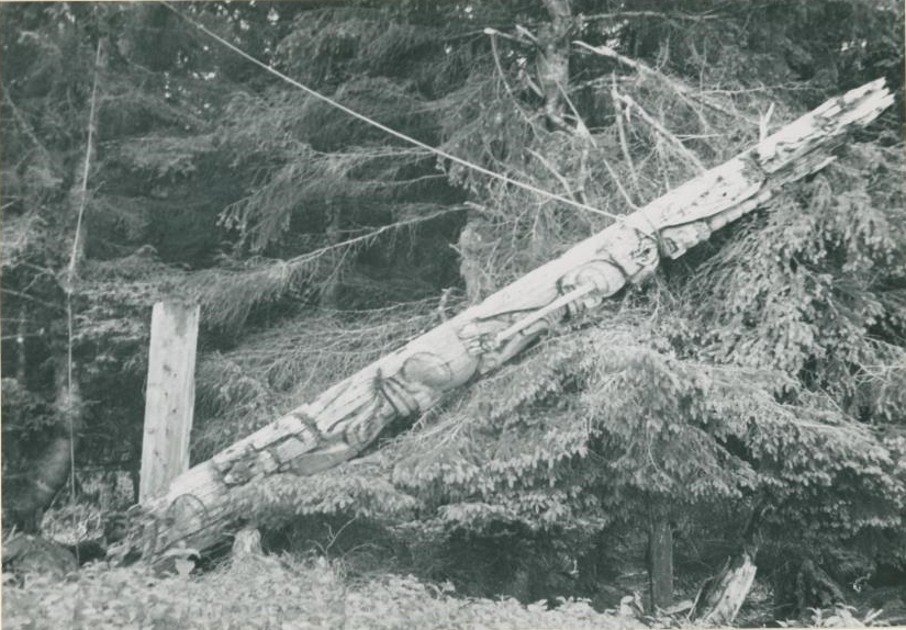 Le poteau, supporté par une corde, penche et s’appuie lourdement sur un arbre.