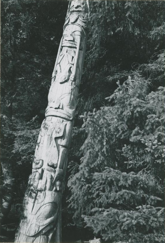 Detail of the middle portion of the pole leaning among trees.