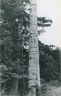 Tall pole beside a tree, with a man standing at the bottom and a man standing in the tree with ropes. 