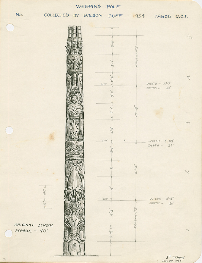 Pencil drawing and dimensions of portion of a pole by John Smyly.