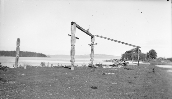 Group of totems in a field