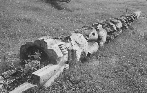 Vieux poteau totémique couché dans un champ.