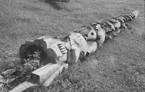 Old totem pole lying in a field