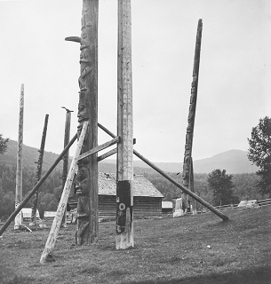 Totem pole with braces in front of a group of totems