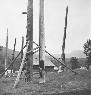 Poteau totémique avec renforts devant un groupe de totems.